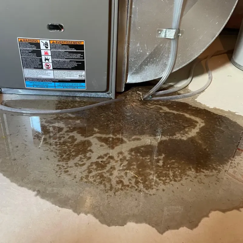Appliance Leak Cleanup in Beltrami County, MN