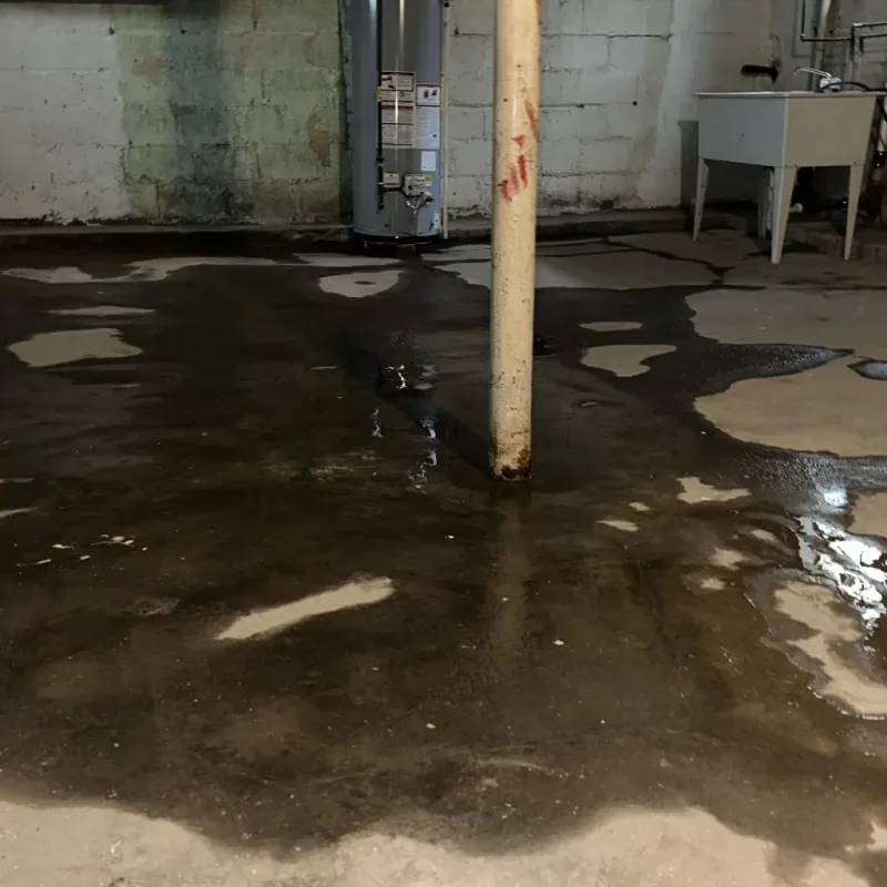 Emergency Water Extraction And Removal in Beltrami County, MN